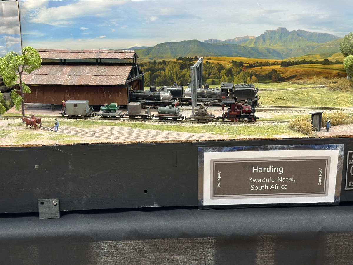 Unusual equipment train in South Africa